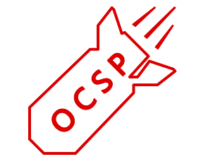 CCS-Injection logo
